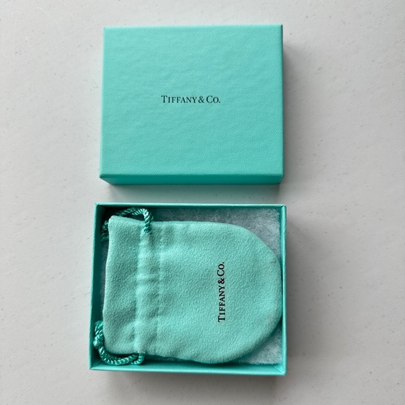 Tiffany & Co. empty box and dust bag pouch packaging earrings bracelet necklace - Picture 1 of 7
